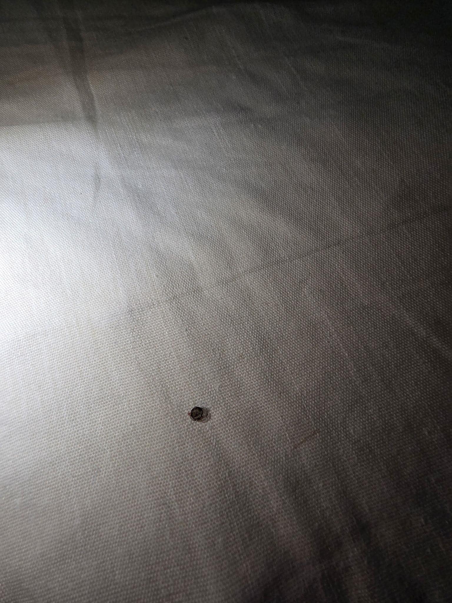 Hair on the the bedsheets 