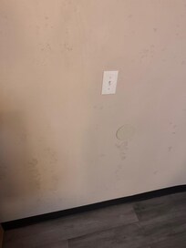 Mold on the walls