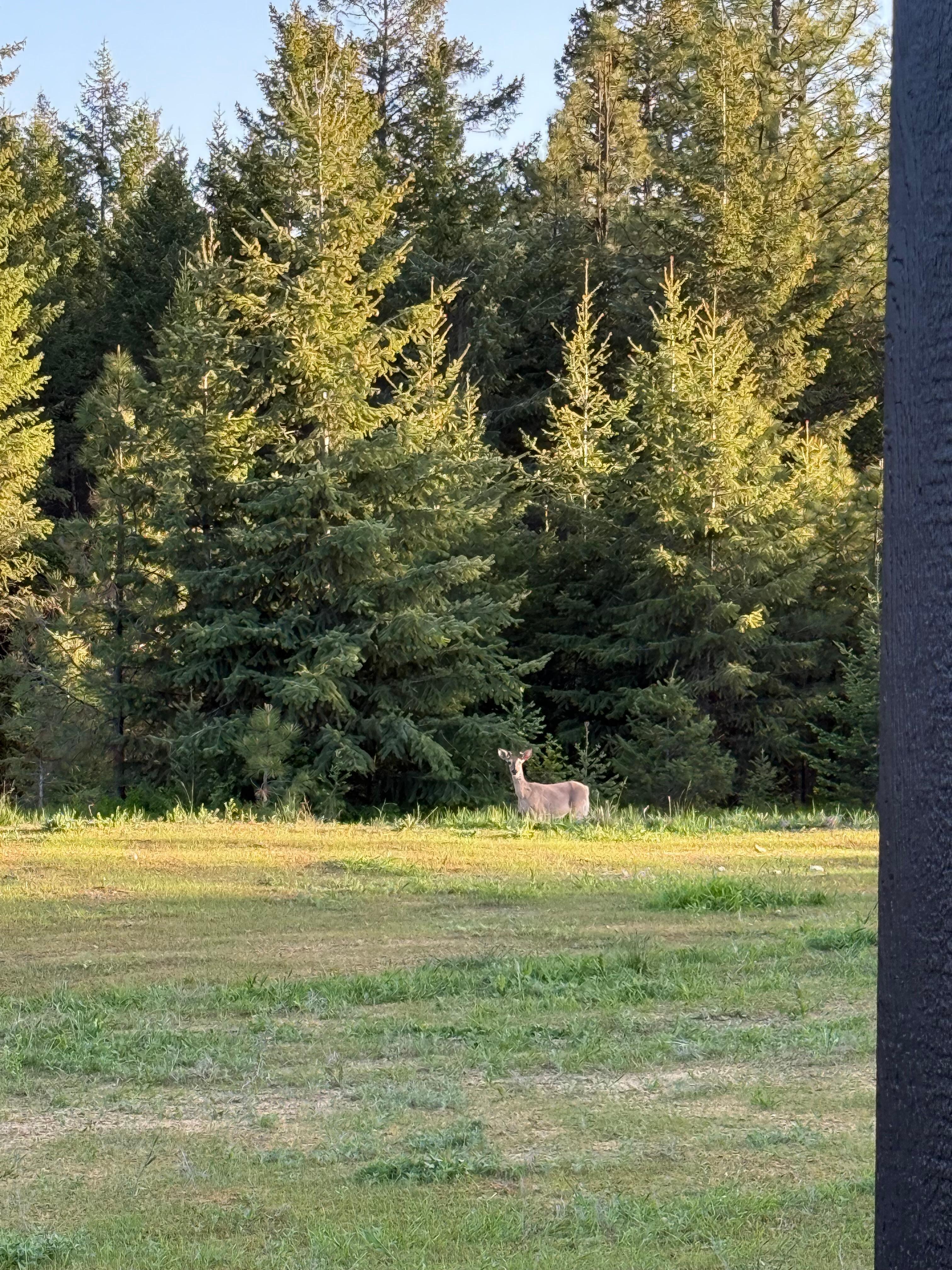 The view in front of the cabin. 