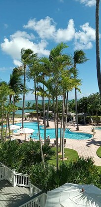 Room view