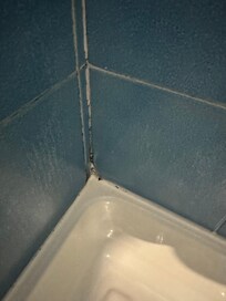 Mold shower
