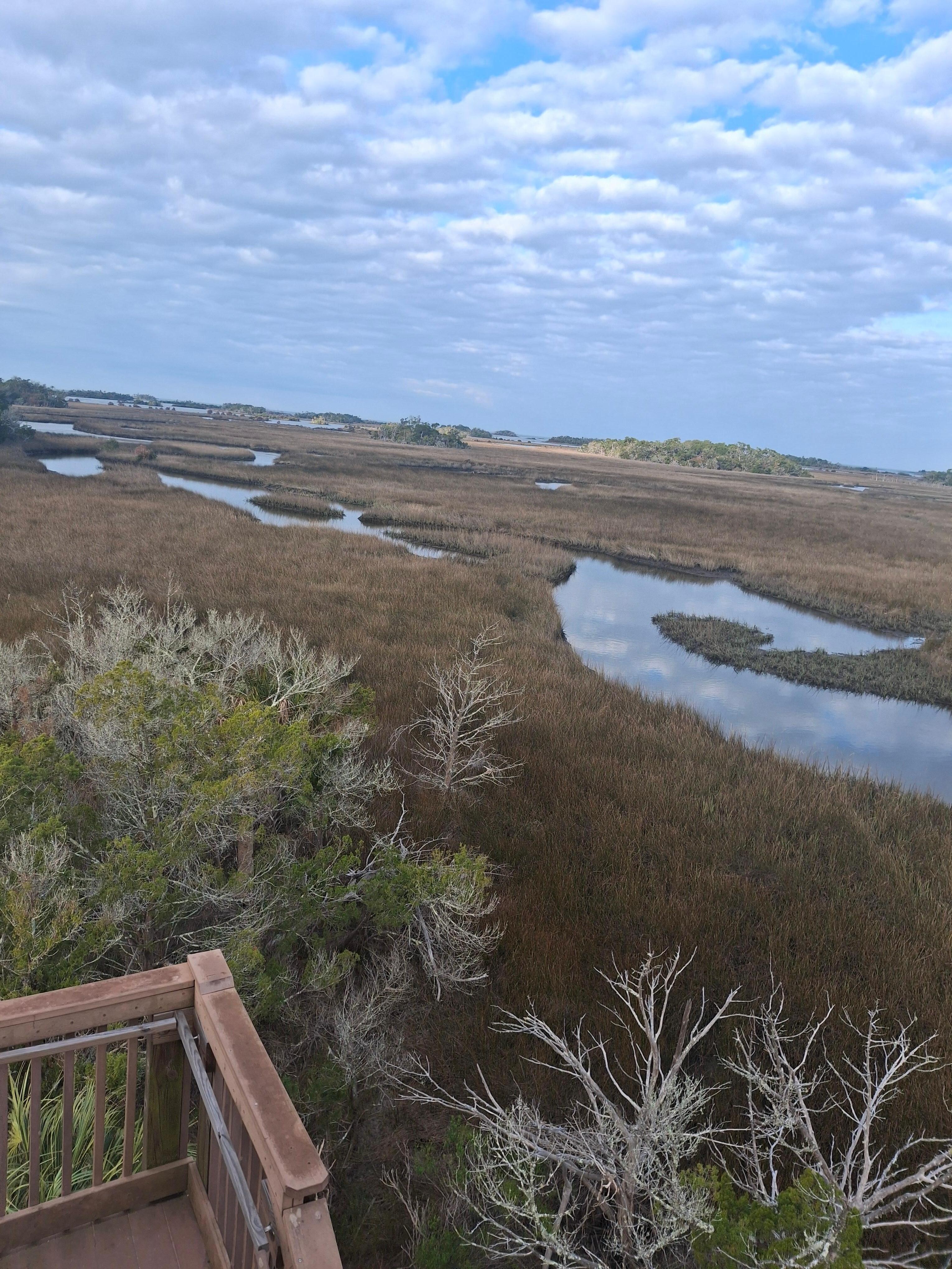 Lookout at Withlacoohee Marsh-Short jog from house