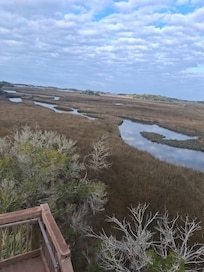 Lookout at Withlacoohee Marsh-Short jog from house