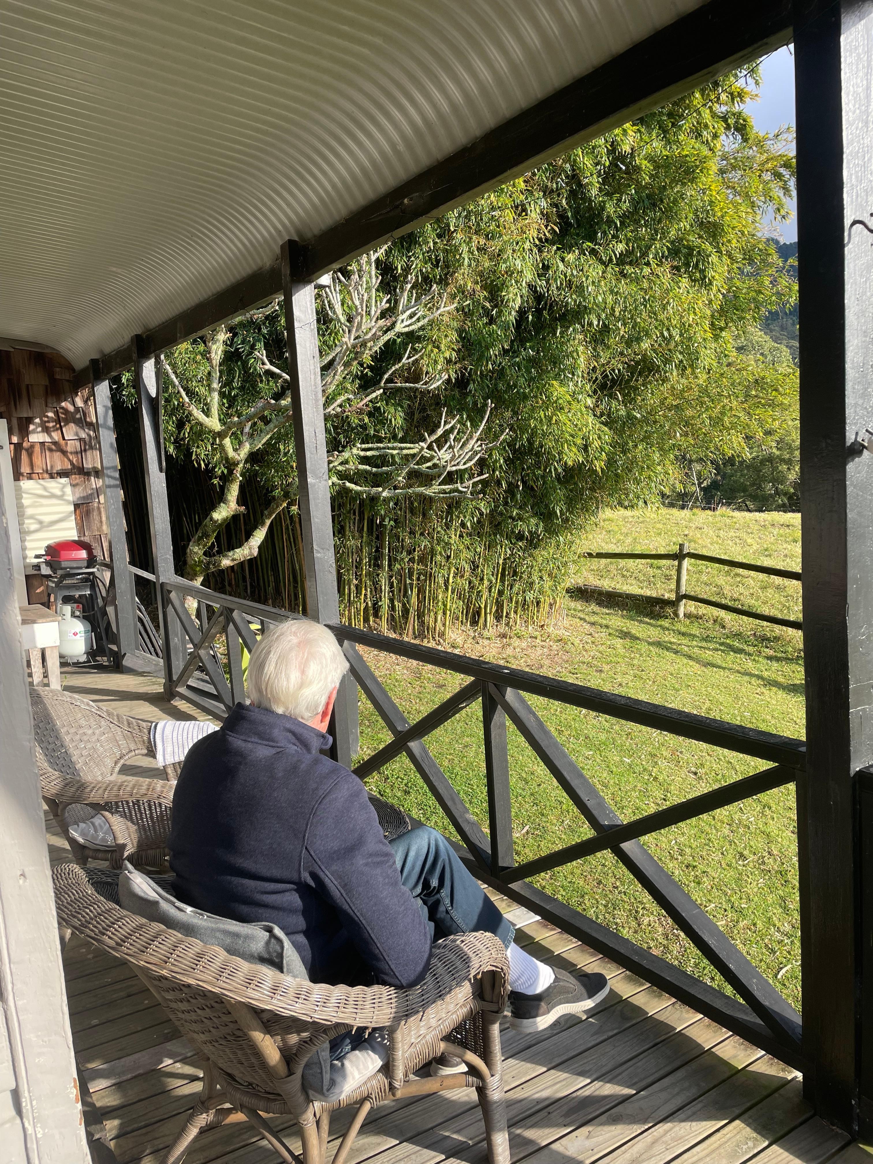 Loved the bamboo grove .