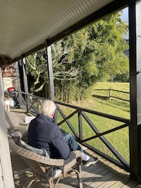 Loved the bamboo grove .