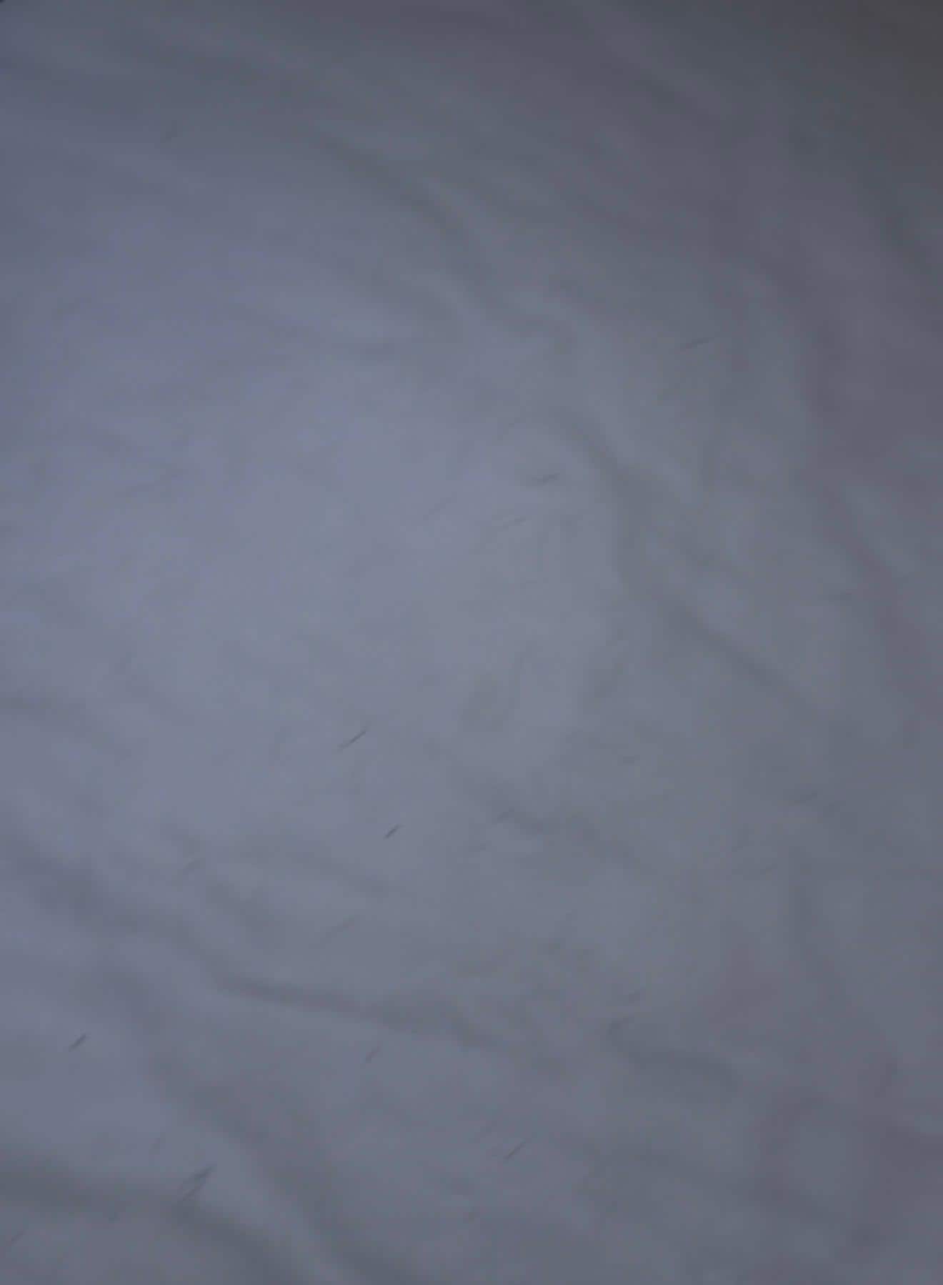 Hairs all over all the beds 