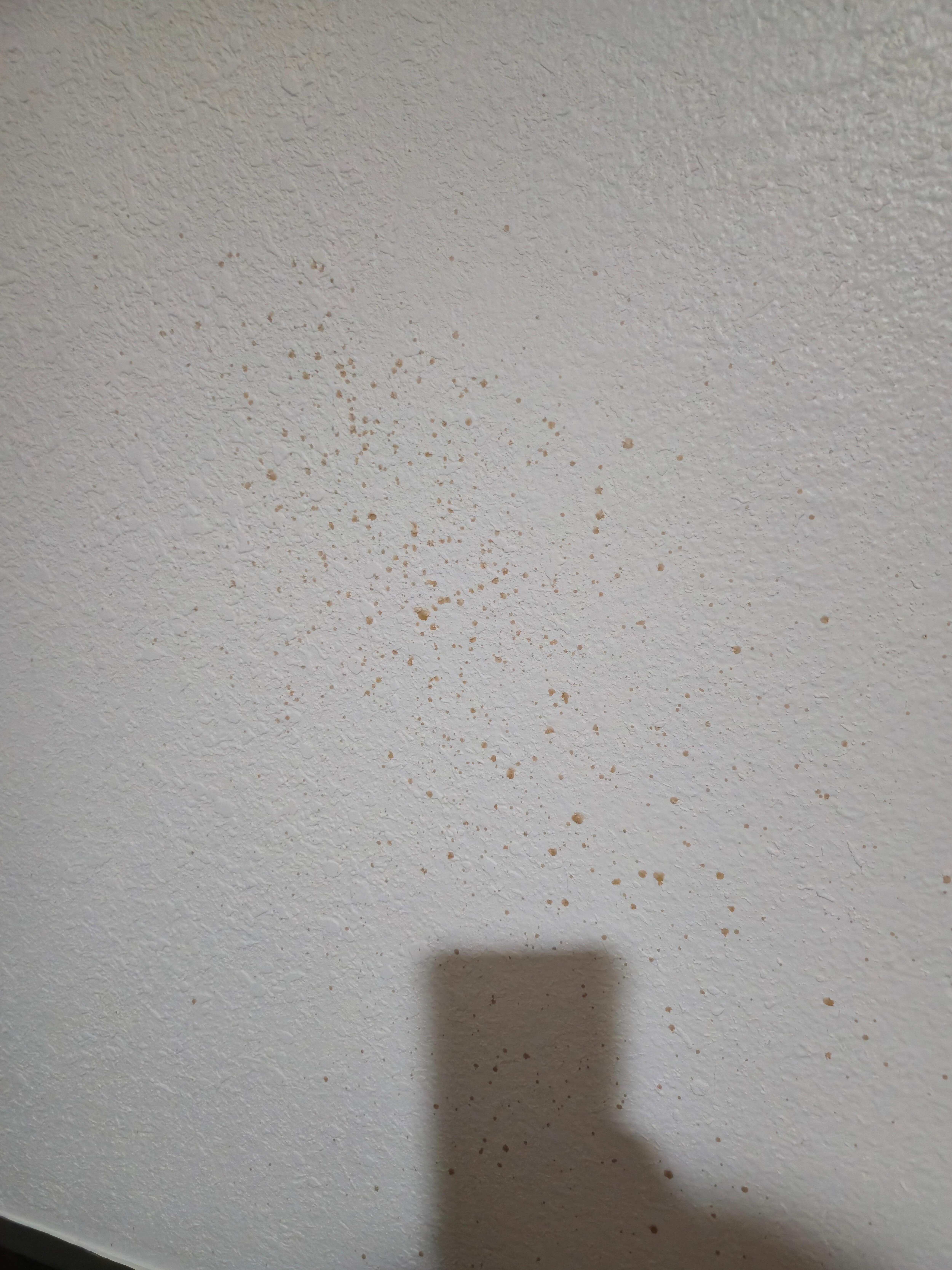 Something splashed all over the walls