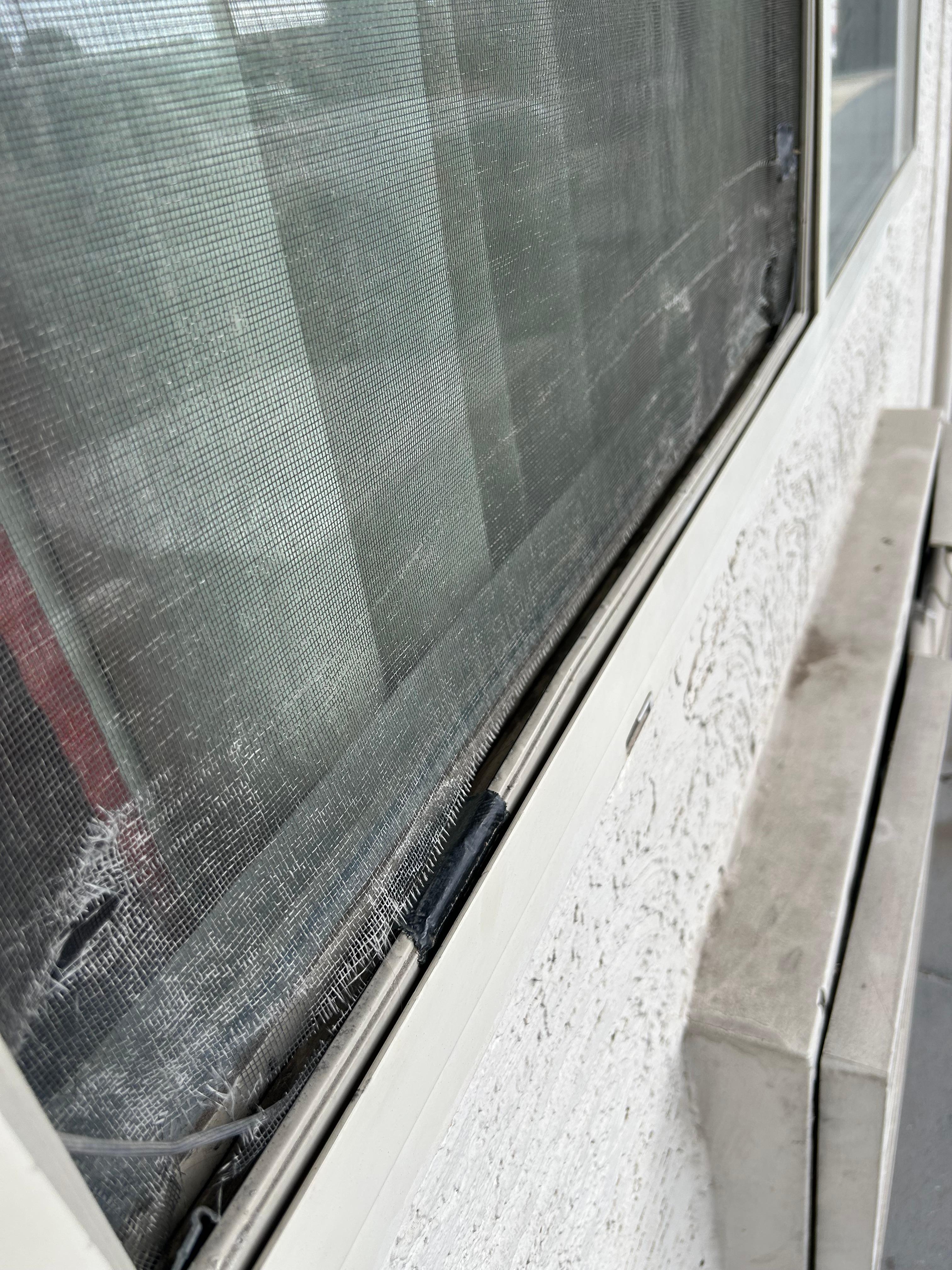 Mosquitero sucio, con orillas despegadas