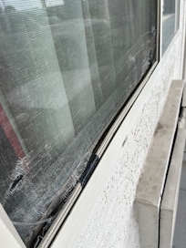 Mosquitero sucio, con orillas despegadas