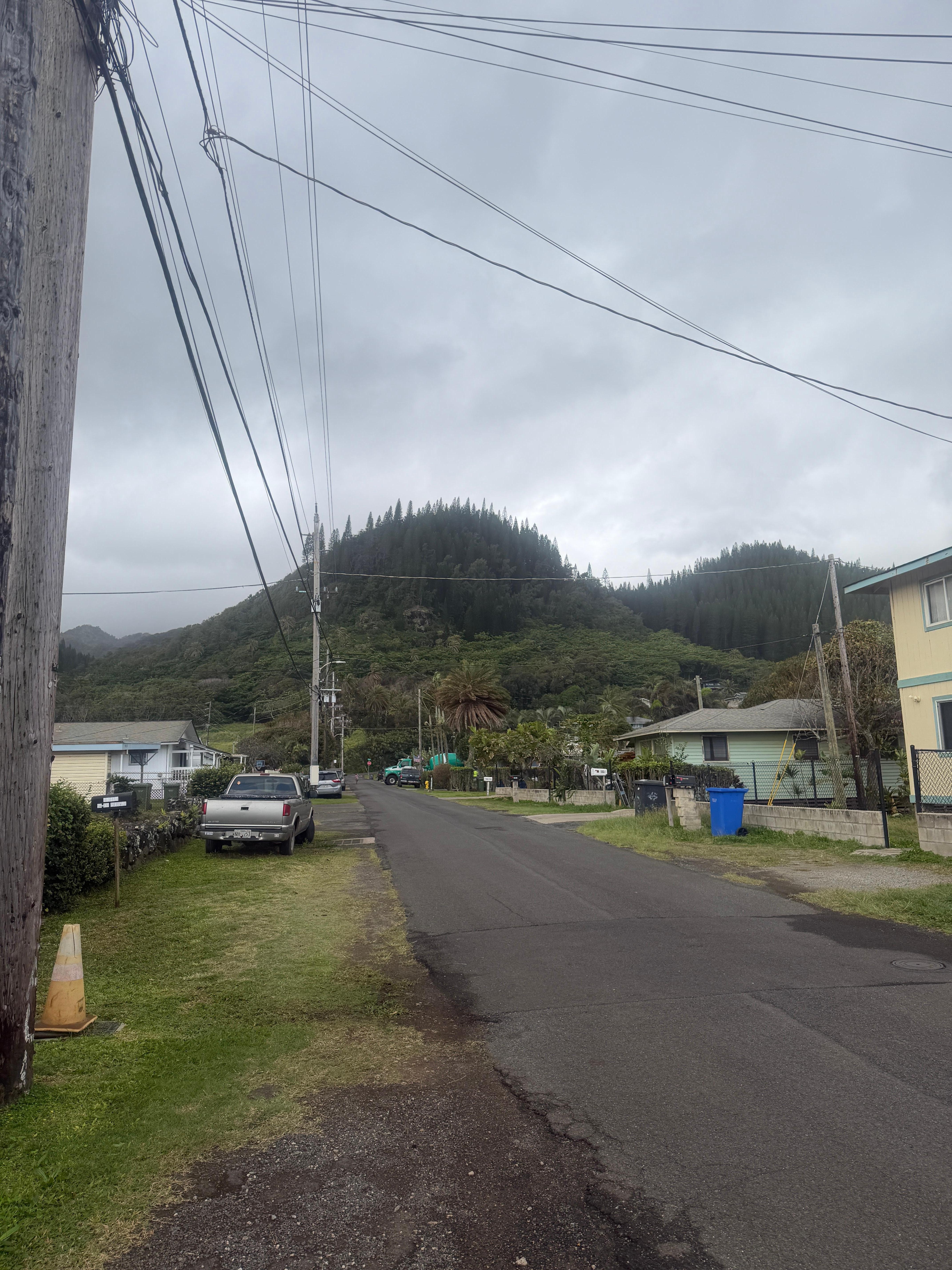 Looking to the mountains from the driveway
