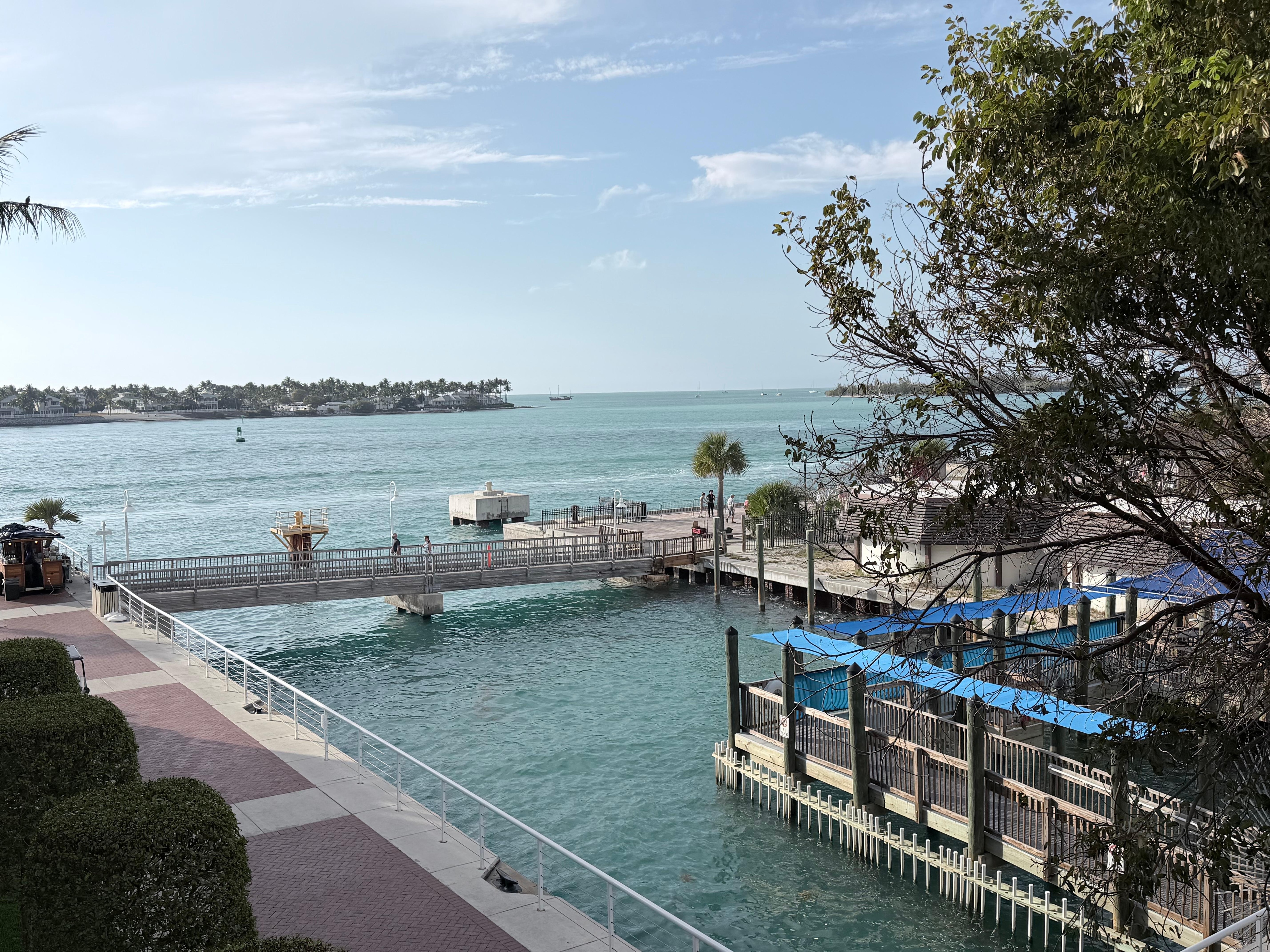 View with no cruise ship 