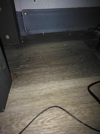 Crumbs and dirt in crevices