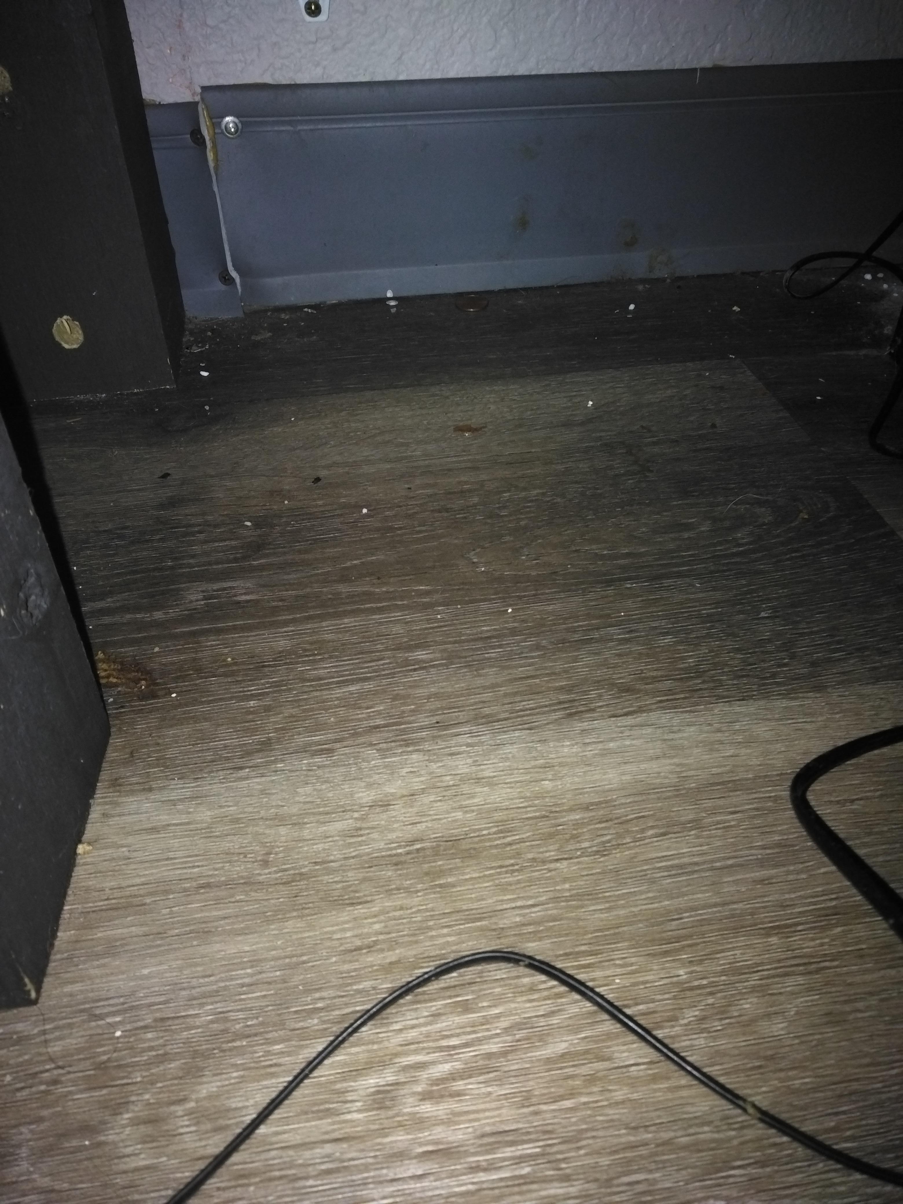 Crumbs and dirt in crevices