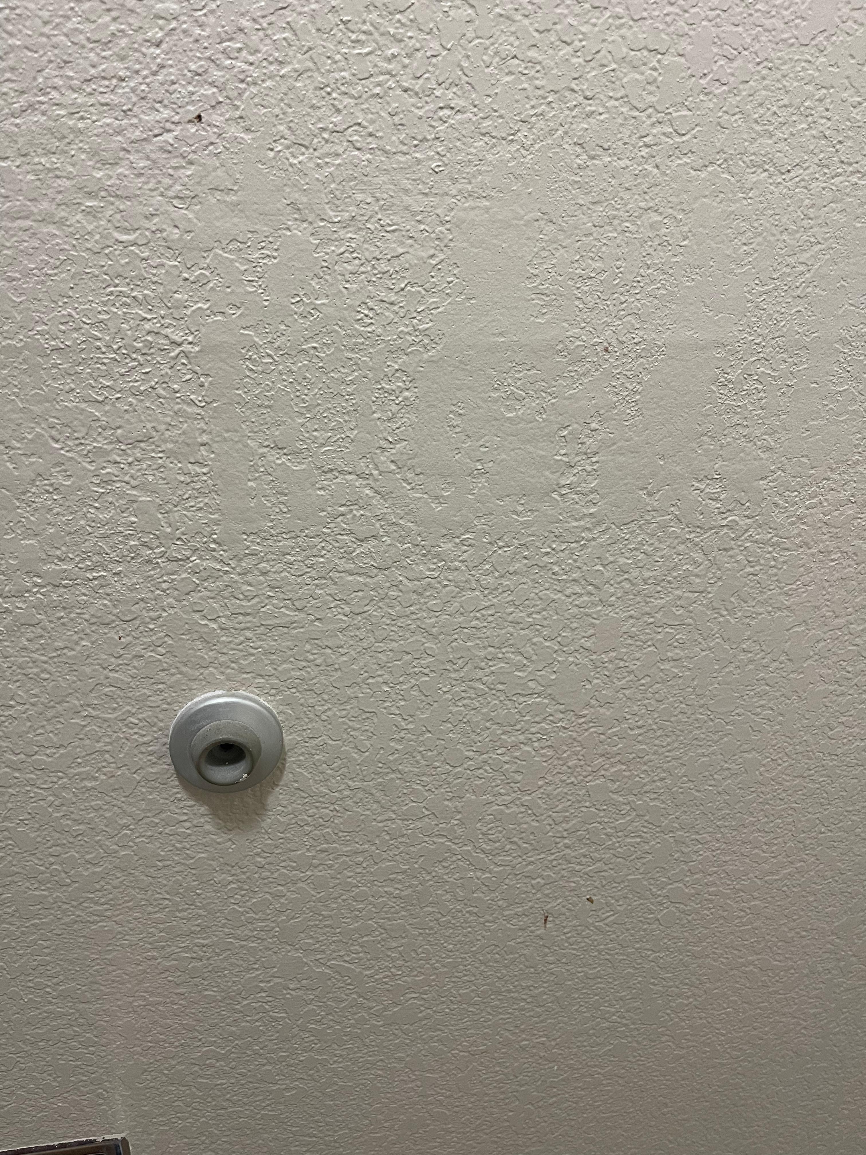 Boogers wiped on the bathroom wall