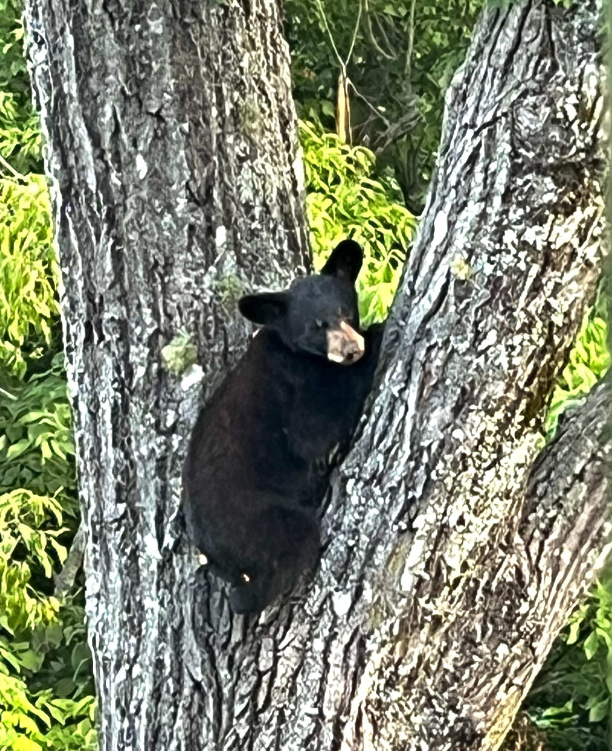 Joined us for coffee on our first morning!