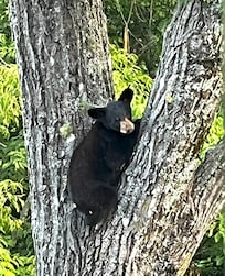 Joined us for coffee on our first morning!