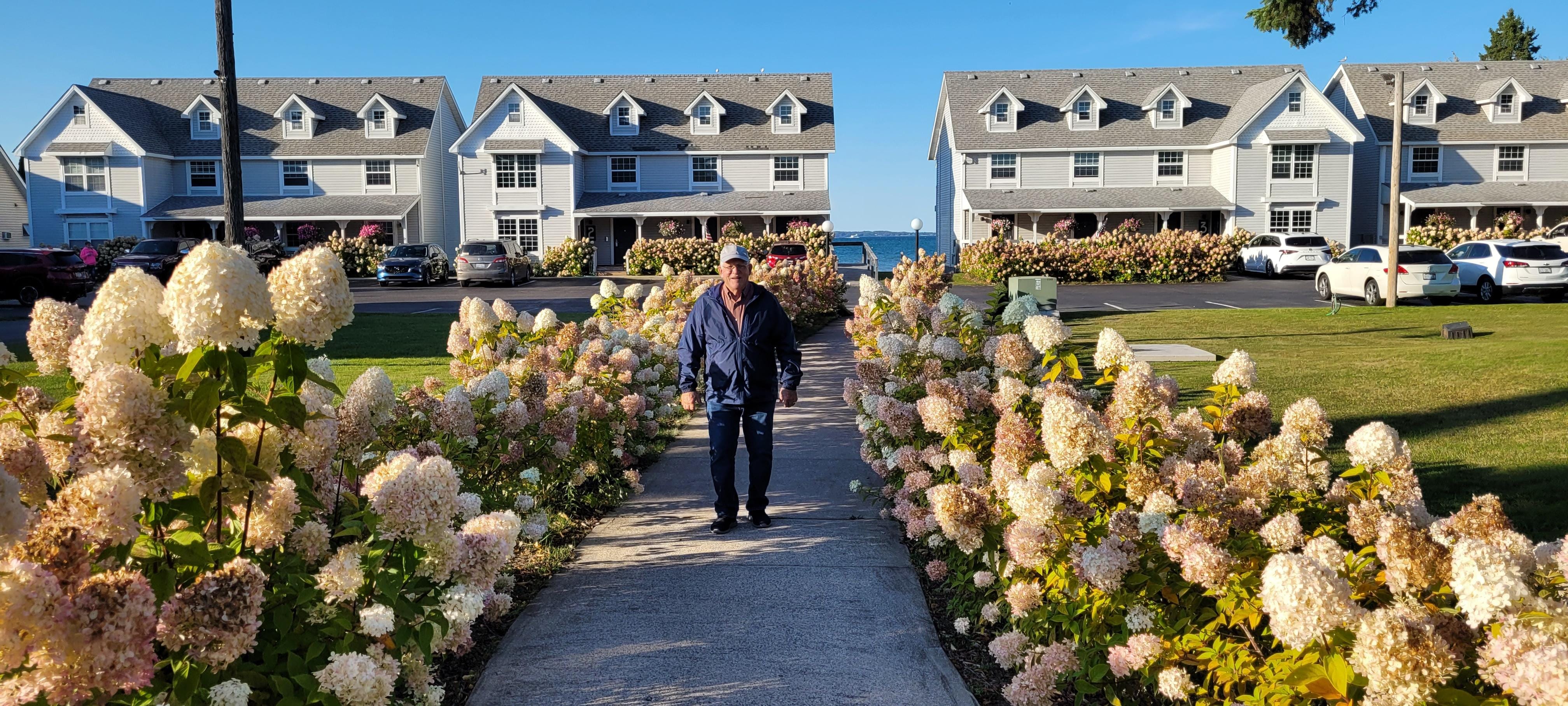 A beautiful view  of the landscape and Mackinaw bridge.