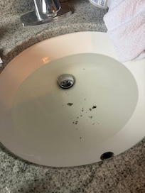 Dirt from sink in master bath, plus sink does not drain well, needs treated