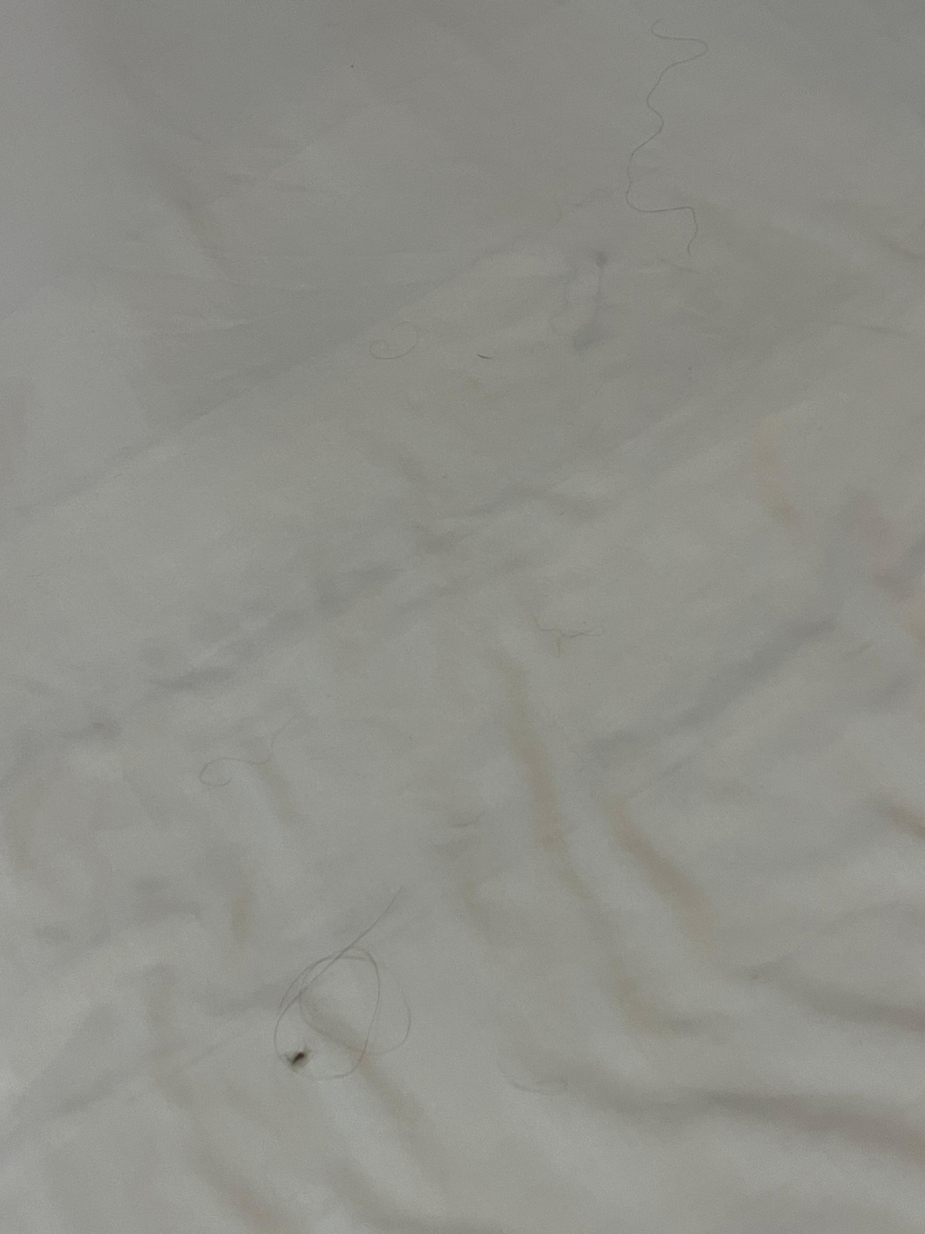 Someone else’s hairs in the sheets 