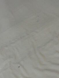 Someone else’s hairs in the sheets