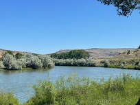 Back yard view