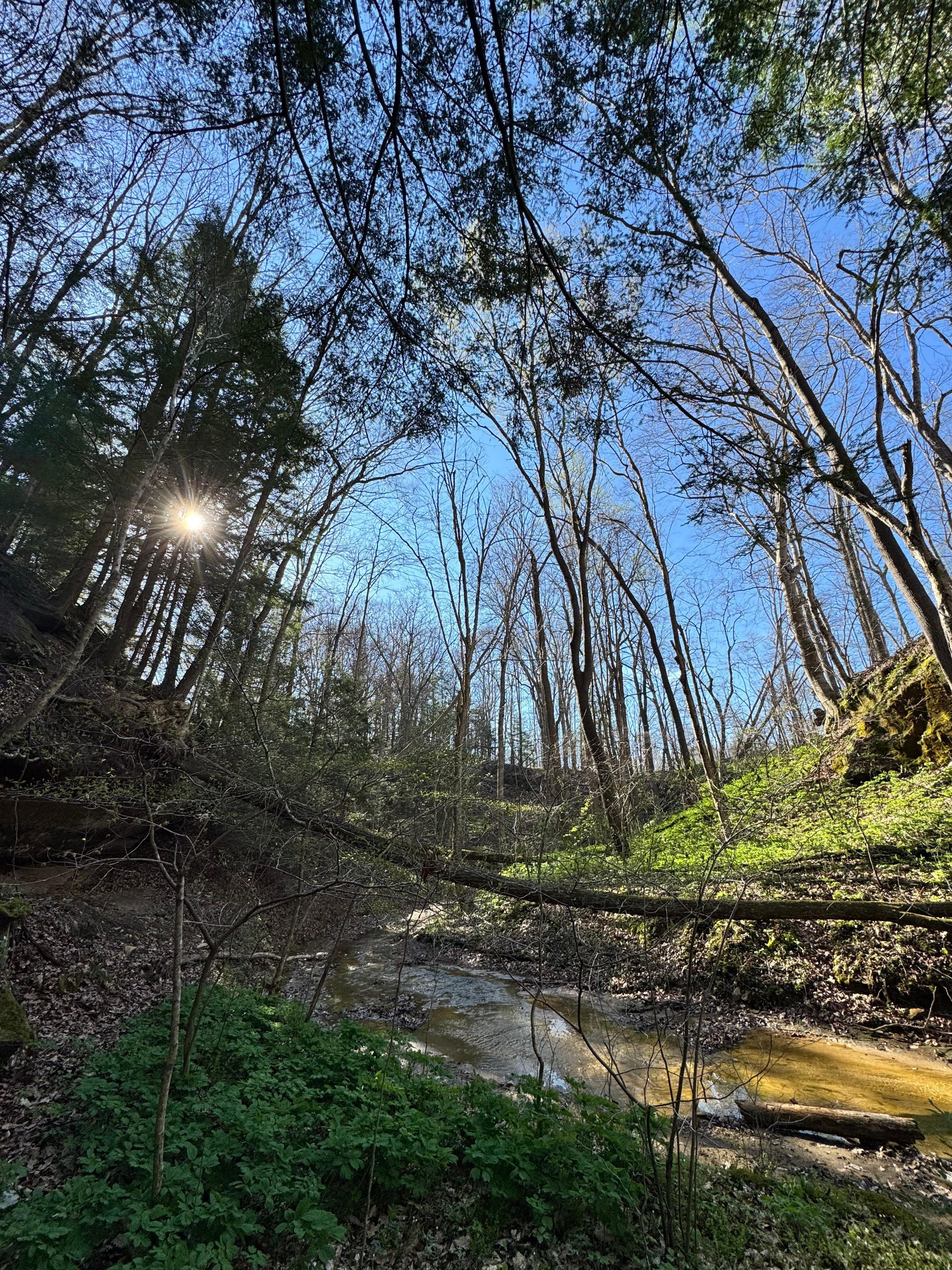 Down by the creek