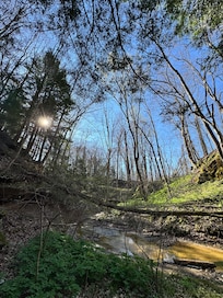 Down by the creek