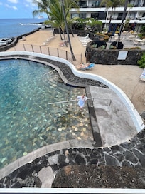 View of the salt water pool from the lanai