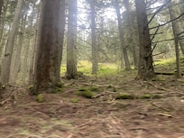Nature at its best.