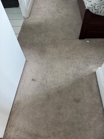 Stained carpet in the bedroom
