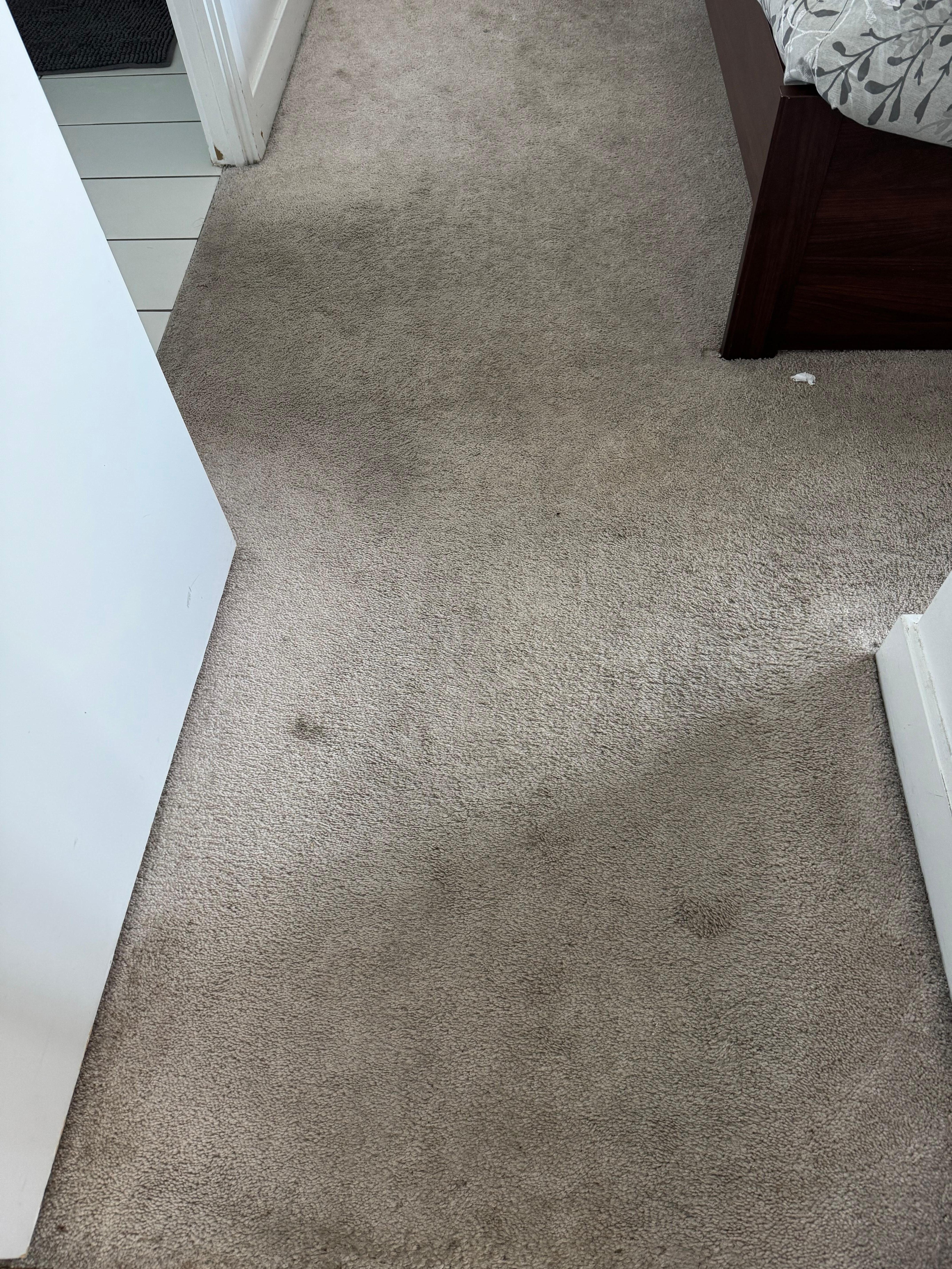Stained carpet in the bedroom