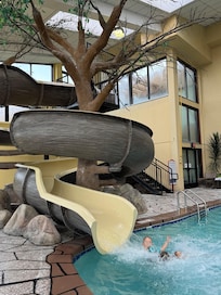 Pool area was a highlight of the trip for the kids.