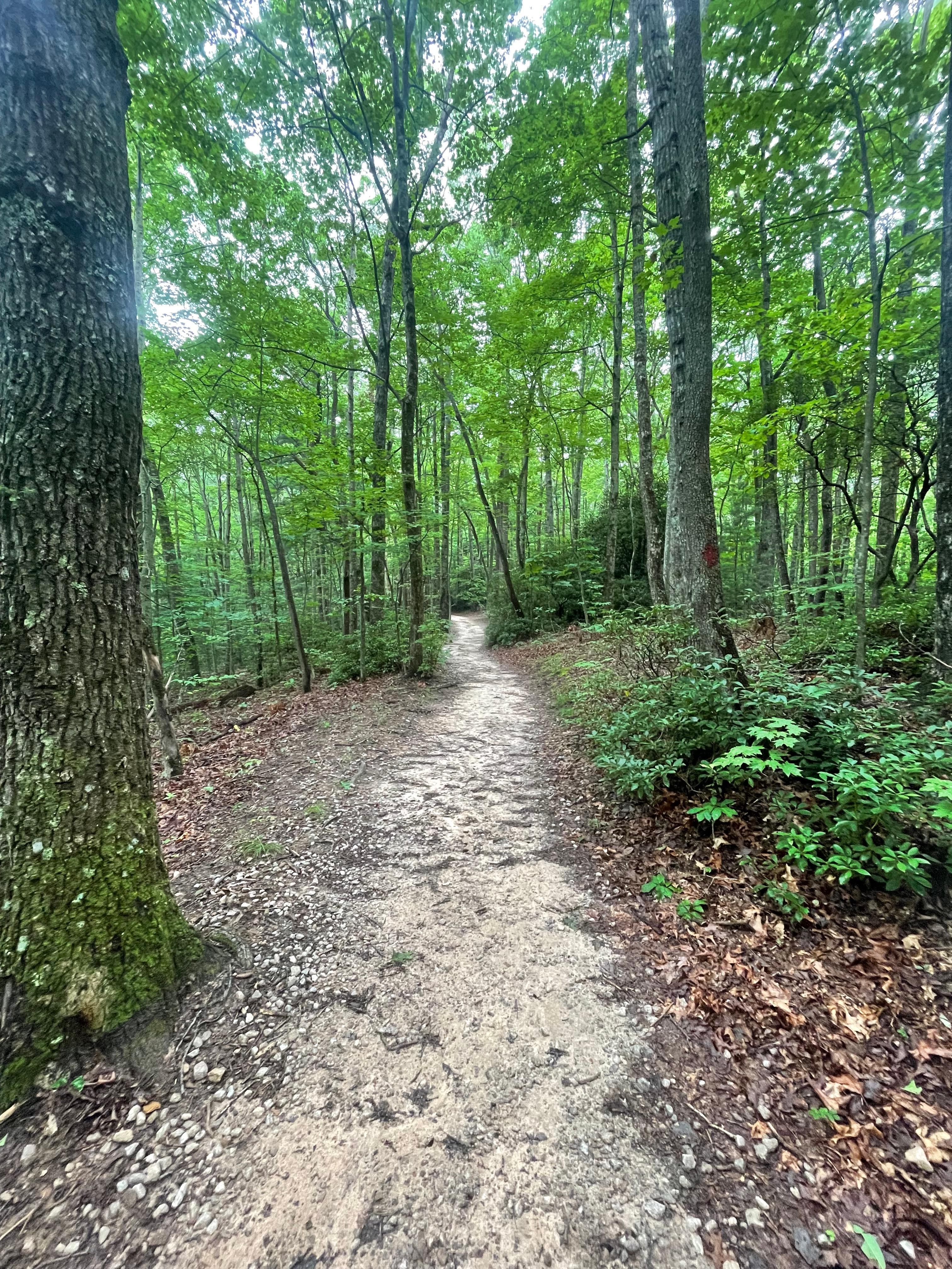 Hike near the cabin.