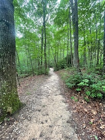 Hike near the cabin.
