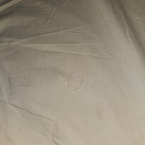 Hairs in beds