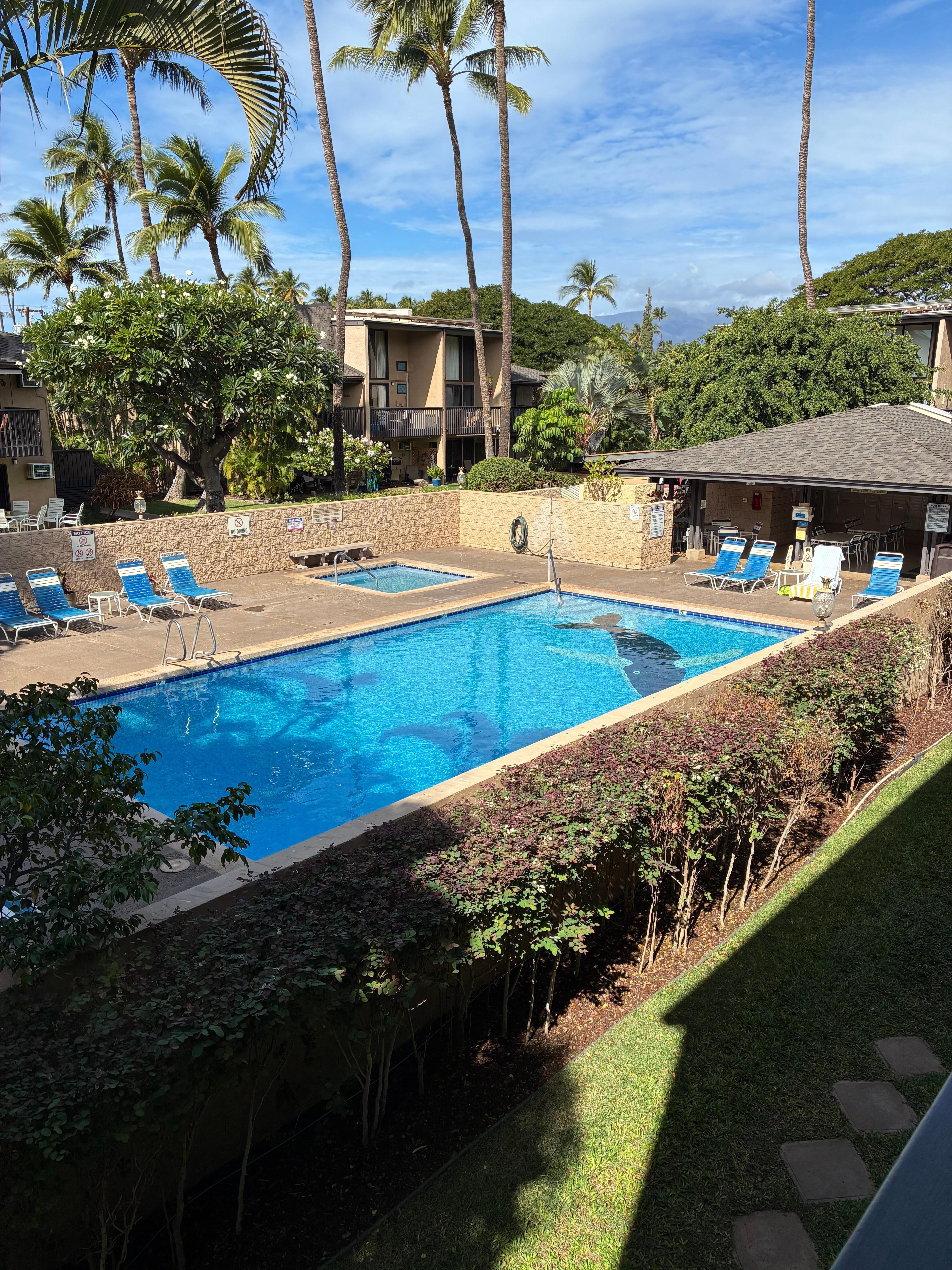 Another view from balcony. 