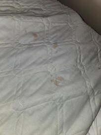 Dirty blanket