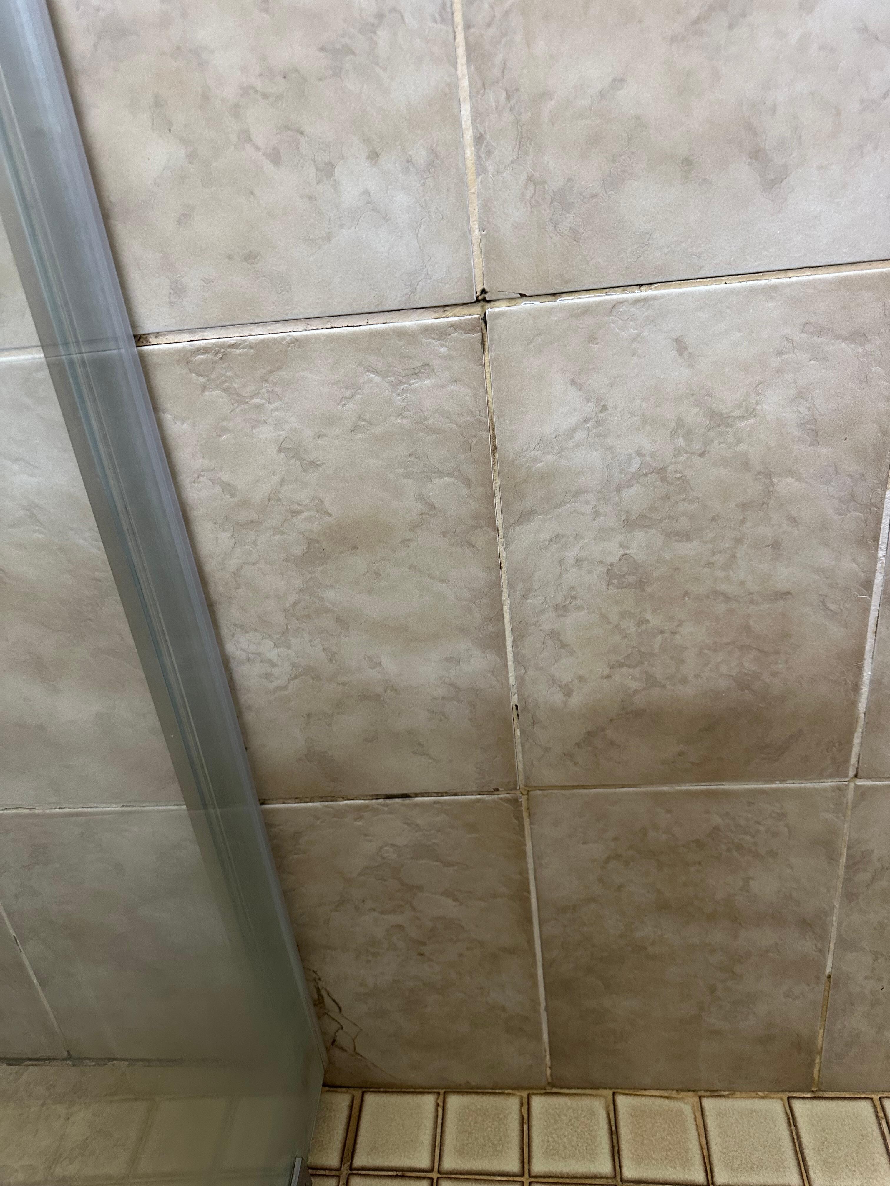 Mould