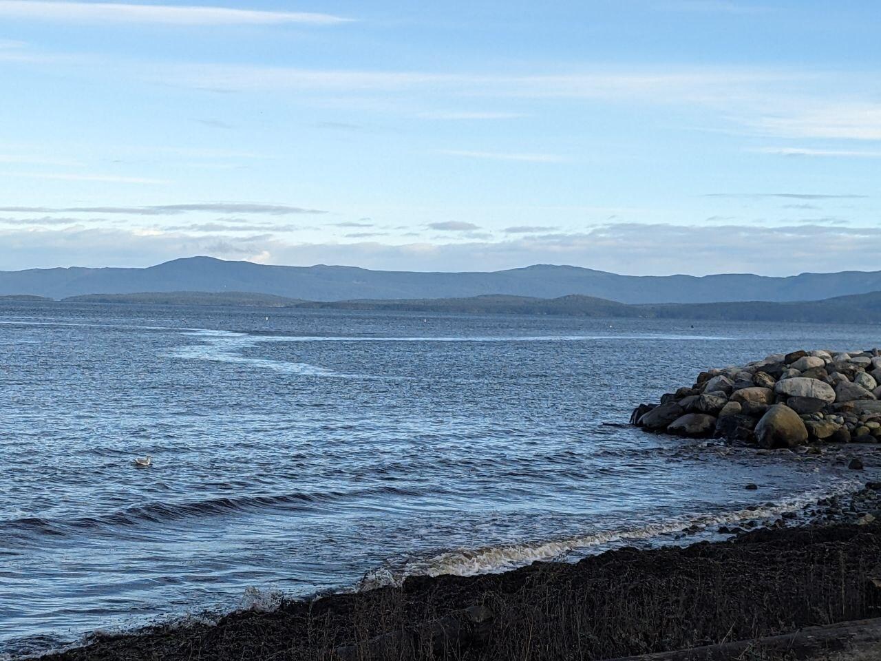 Sunshine today on my walk