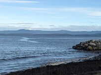 Sunshine today on my walk