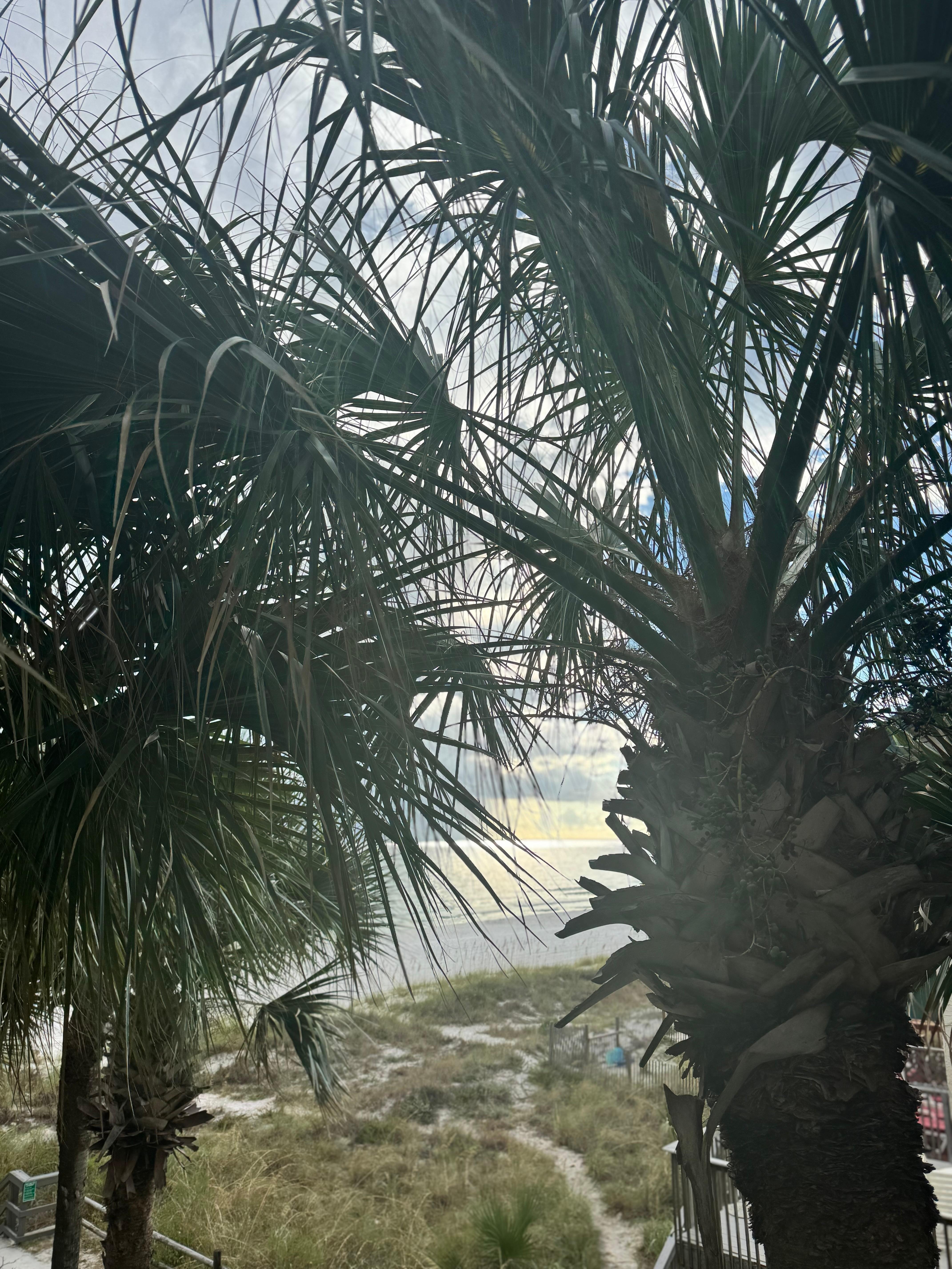 This was from our balcony. We were on the end 2nd floor