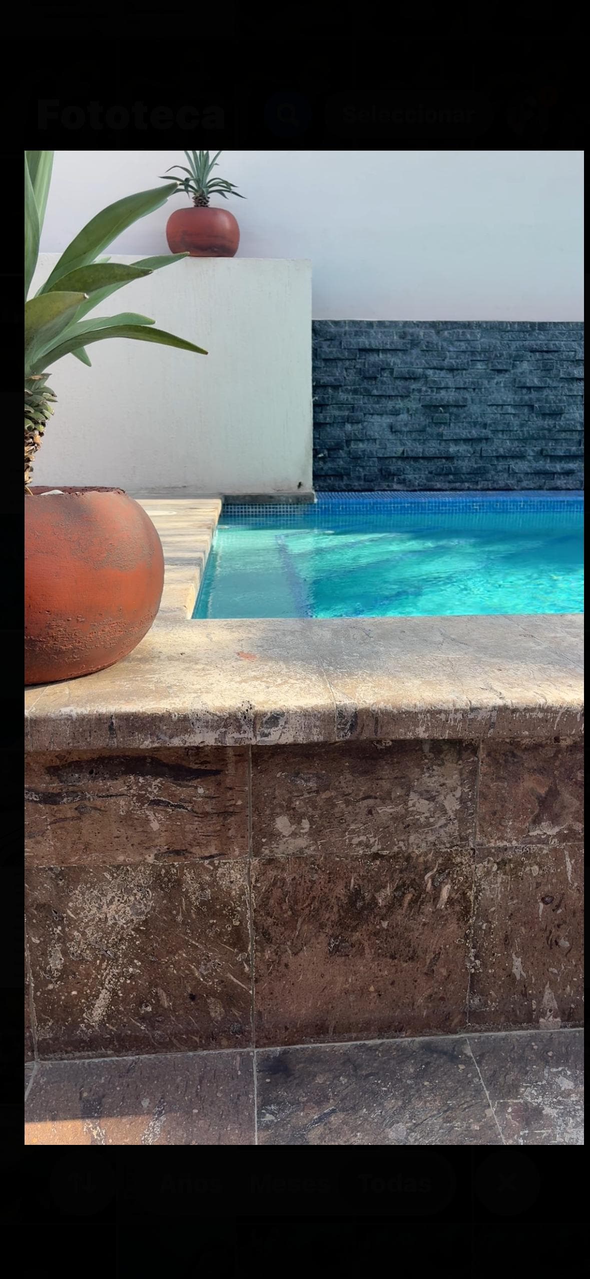 La alberca estuvo de lo mejor 