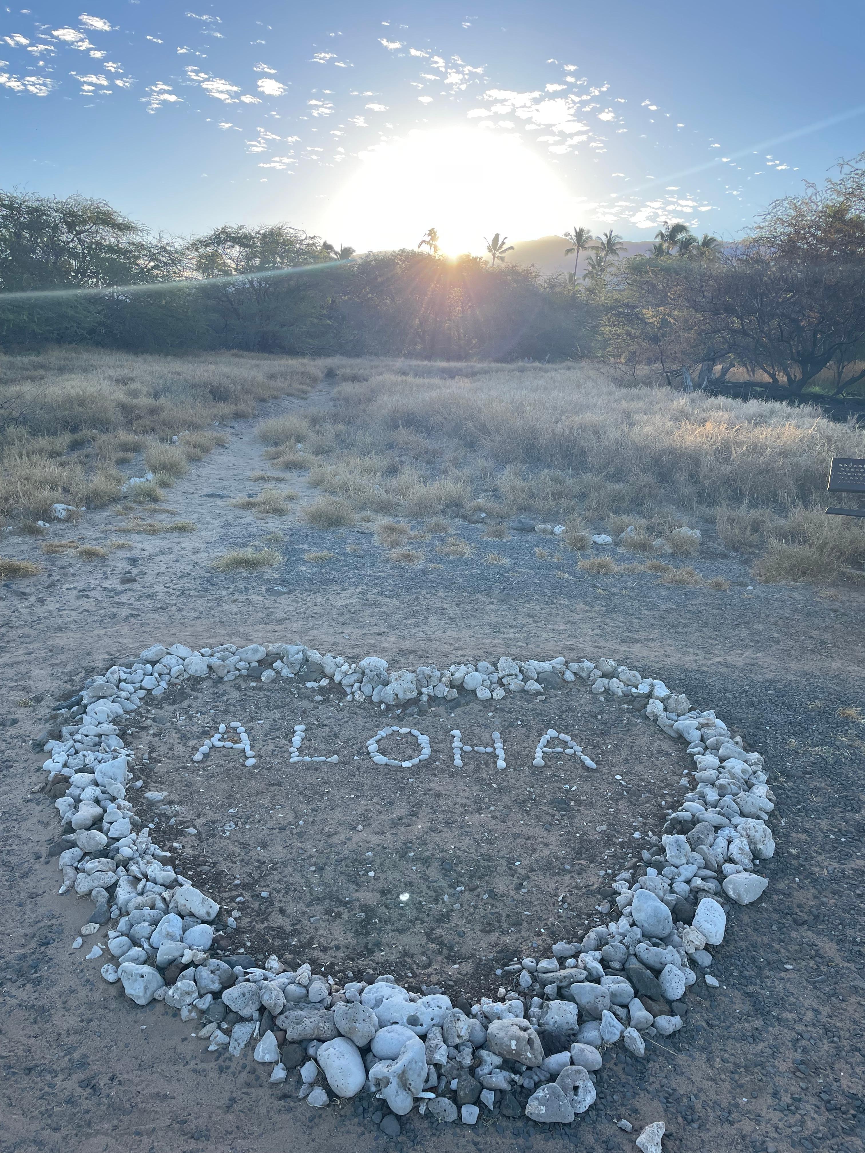 Sunrise from the Shearwater Nesting Preserve across the street