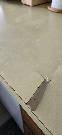 Filthy & damaged kitchen counters
