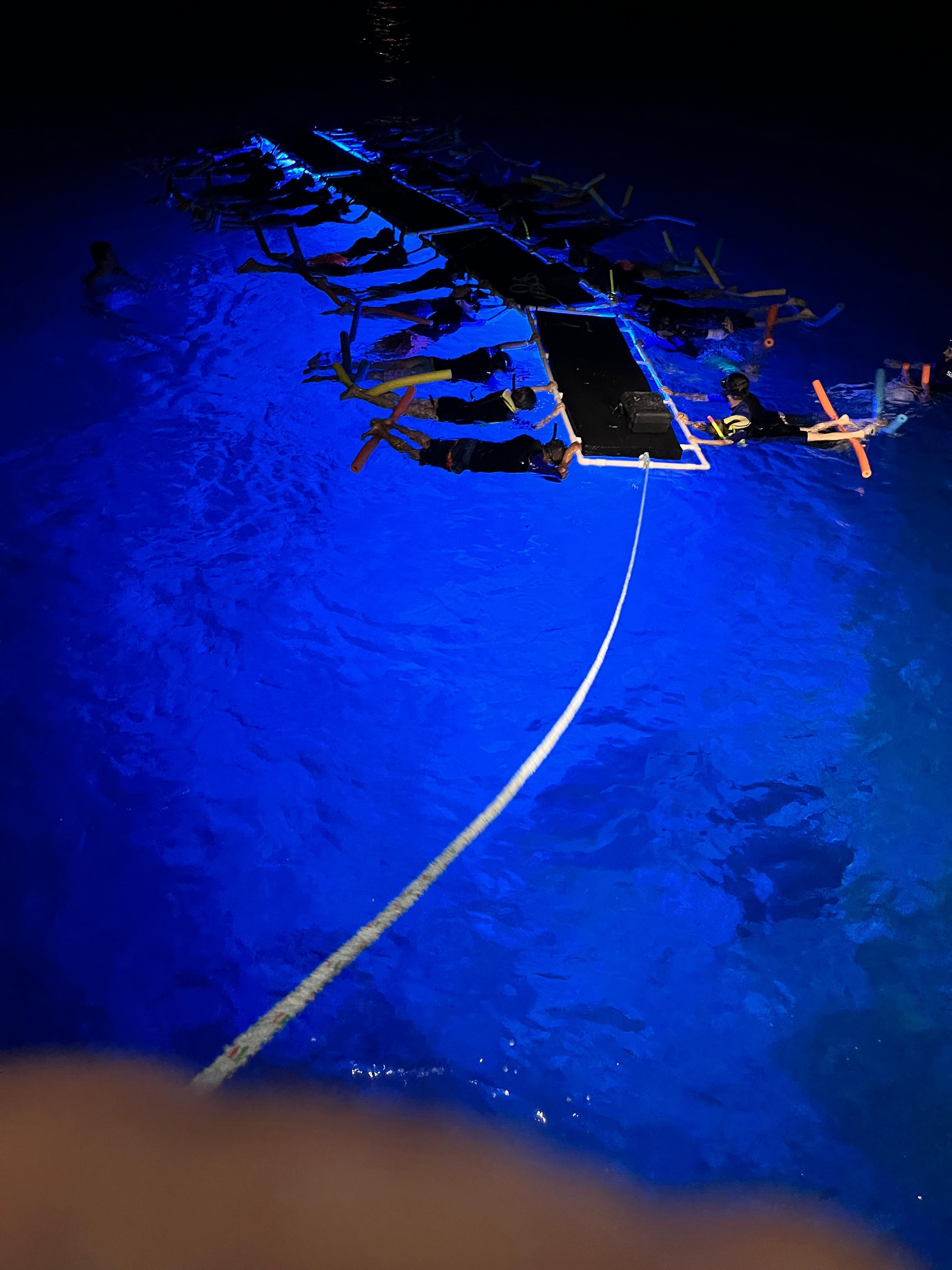 Night snorkle with manta rays