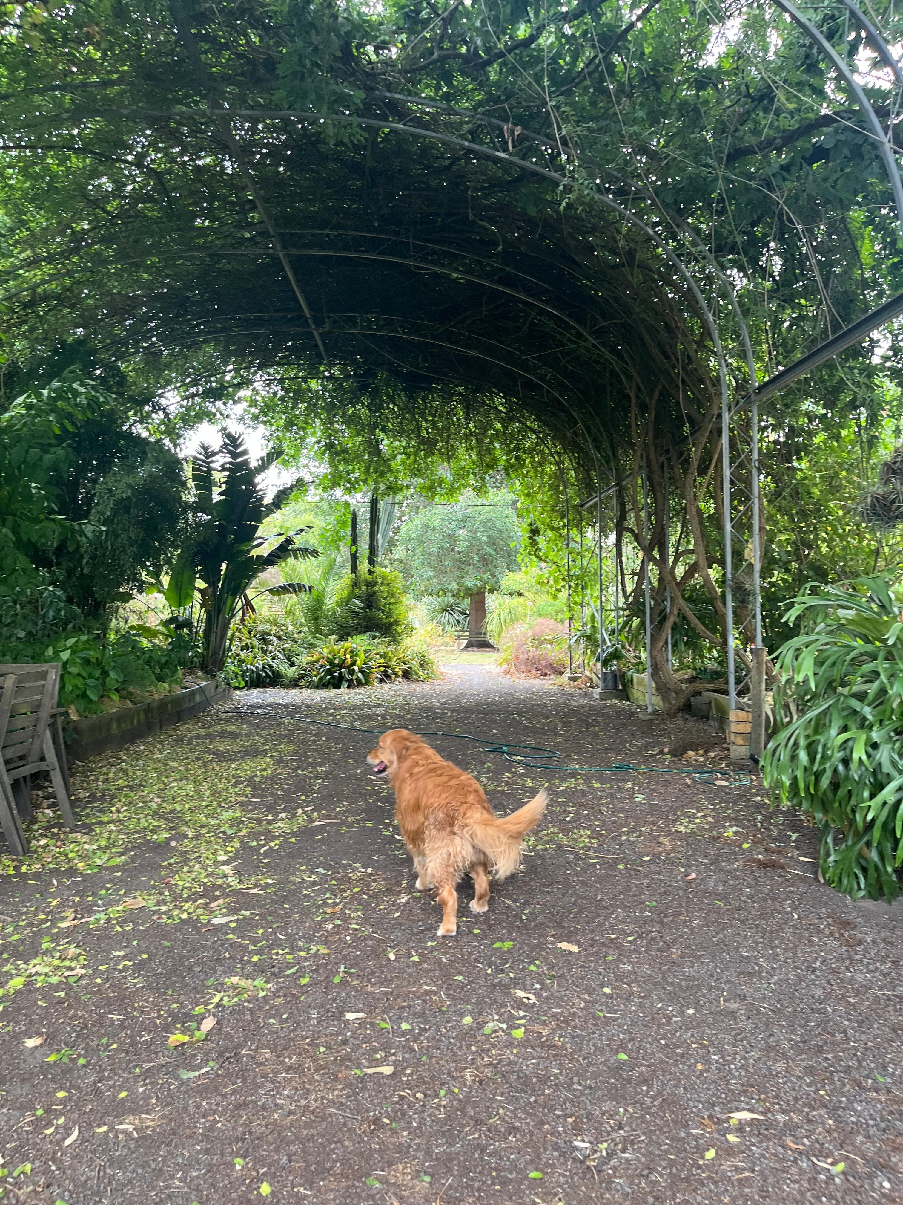 The acres of property were just beautiful 