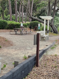 Set of picnic tables and grills