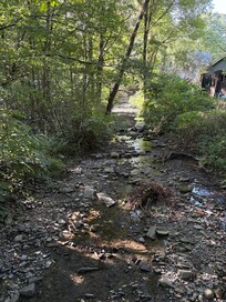 The backyard has a bridge over a stream which leads to walking trails.