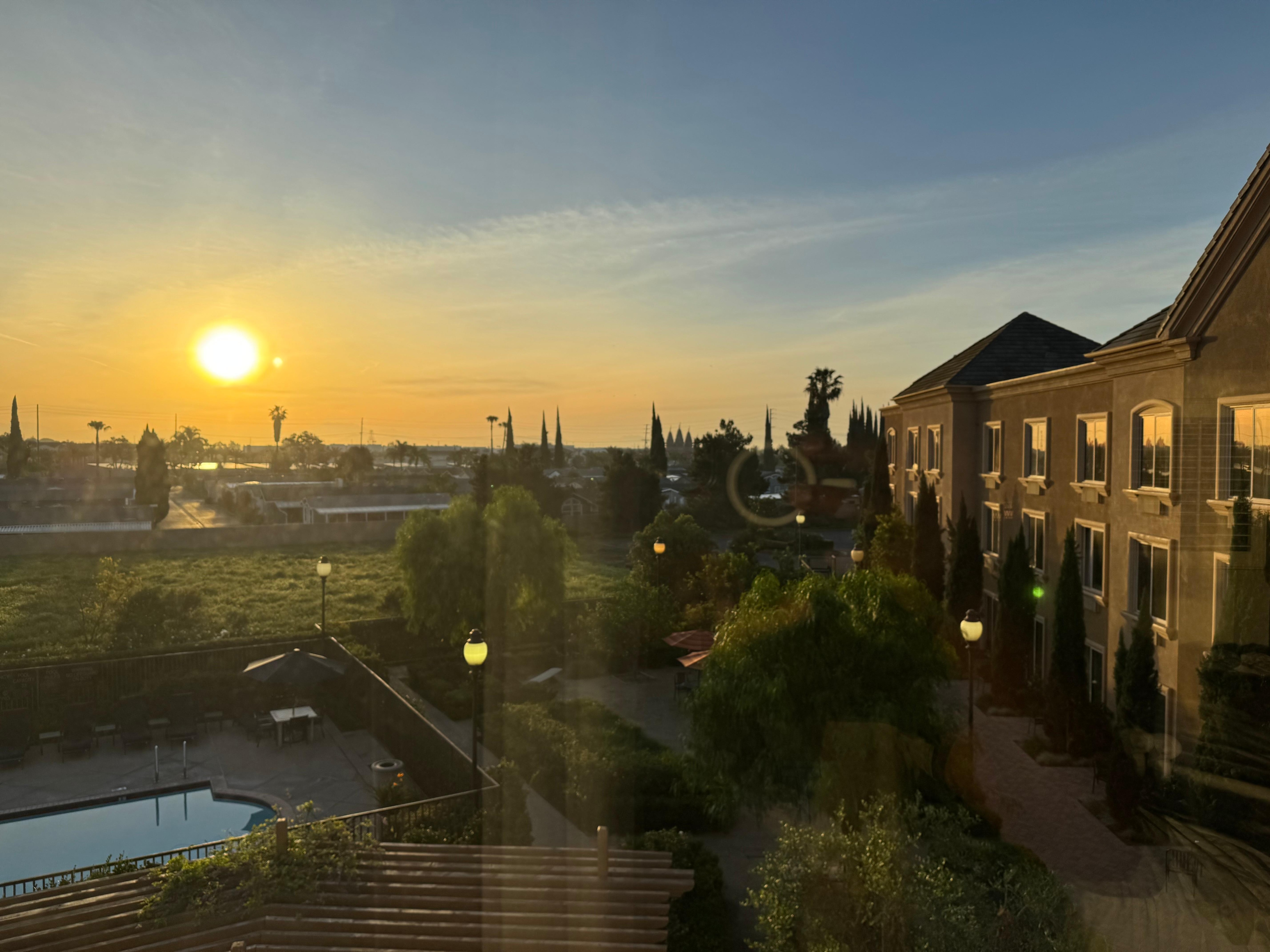 Morning view from room