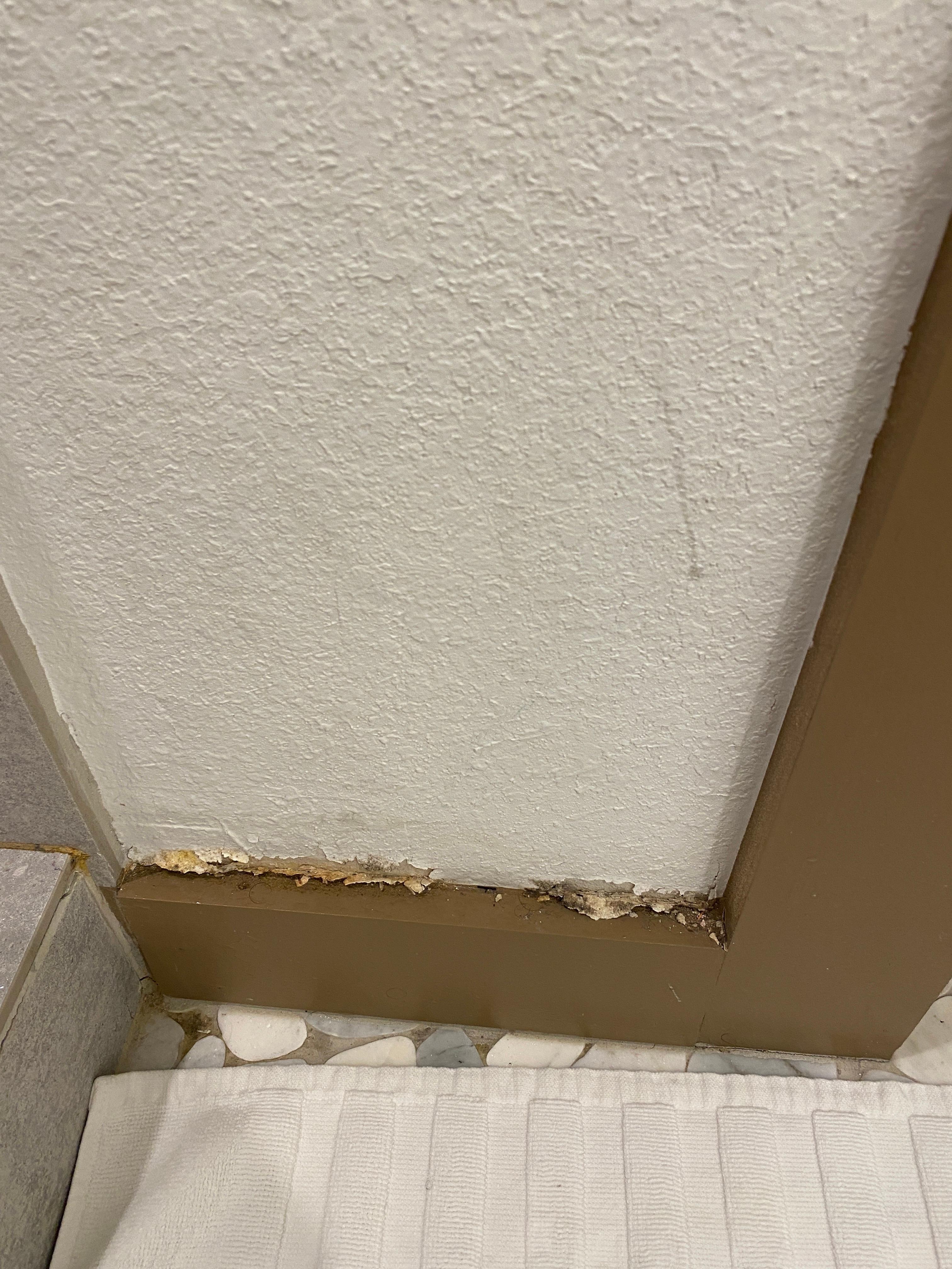 Mold on wall by shower 